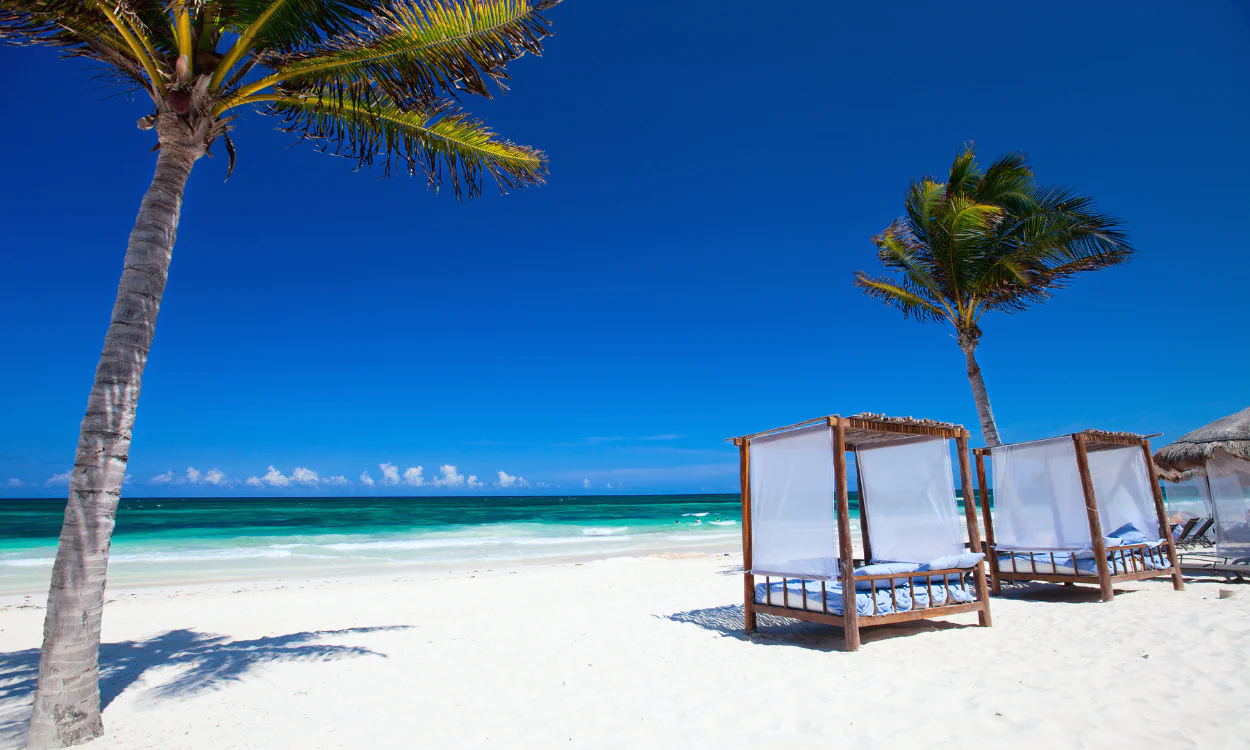Strand mit Palmen und Beachbeds